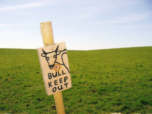 bull-keep-out-1390792-1280x960